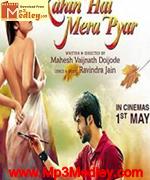 kahin hai mera pyaar 2014